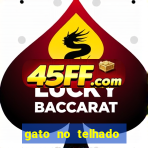 gato no telhado significado espiritual
